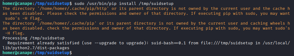 pip install output