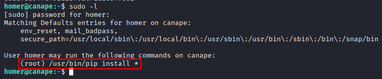 sudo -l shows pip install