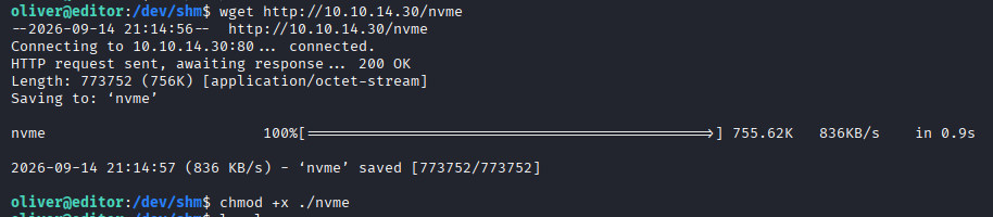 Transferring and preparing nvme in /dev/shm