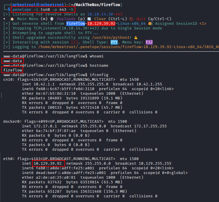 www-data shell