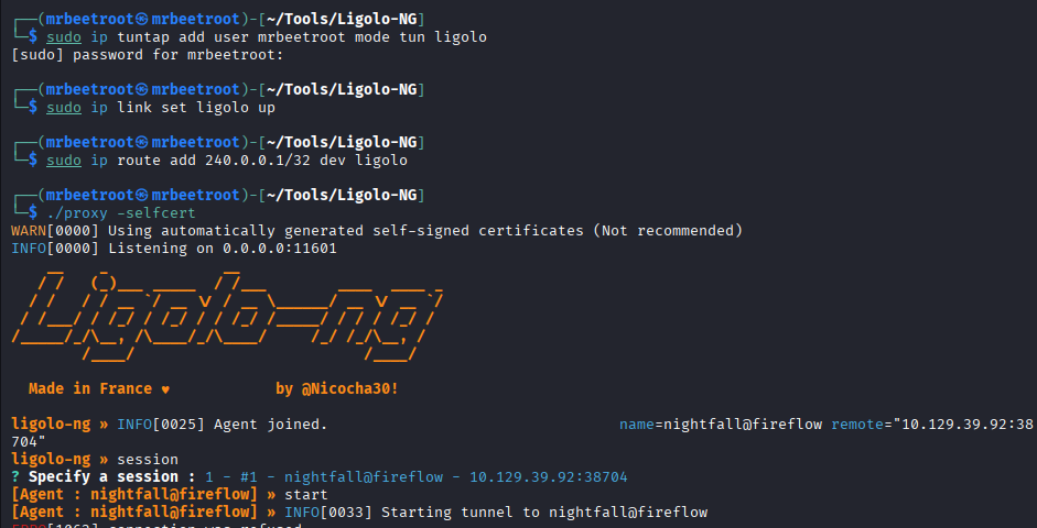 ligolo proxy