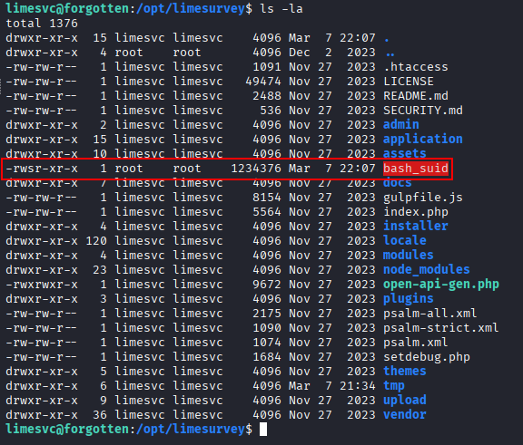 suid bash visible on host