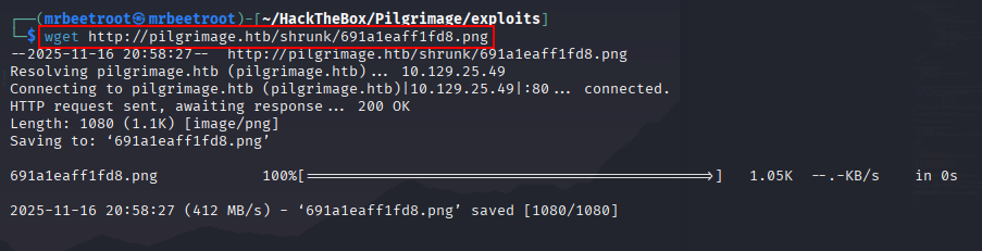 downloading the shrunk file