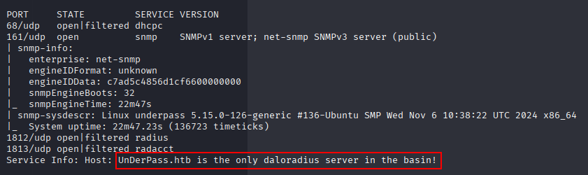 UDP nmap results