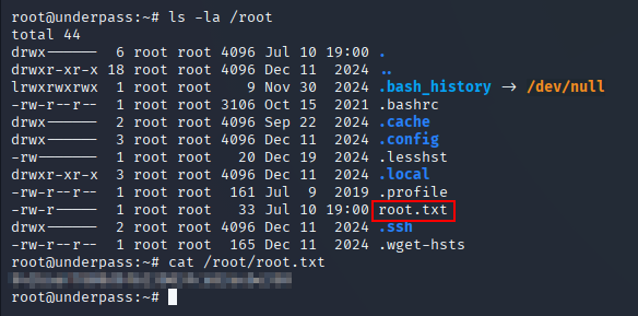 root flag