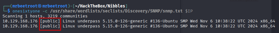 onesixtyone finds the public community string