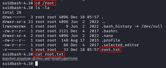 root flag