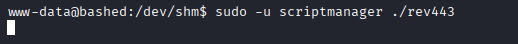 execute payload as scriptmanager