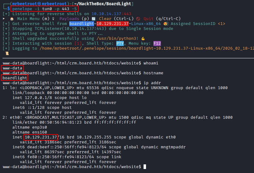 www-data shell