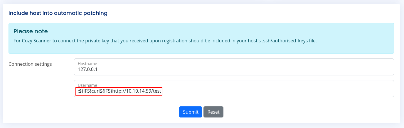 command injection payload