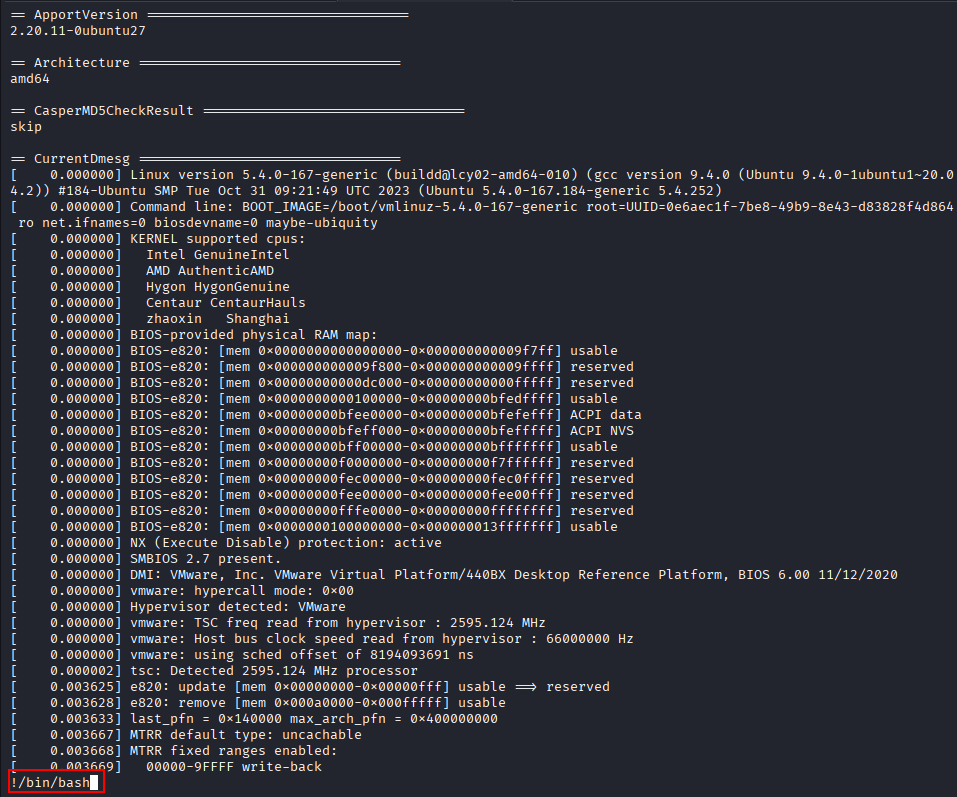 less command execution