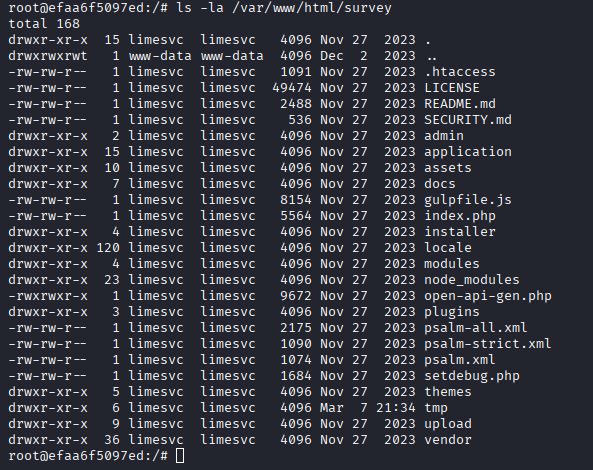 container limesurvey directory