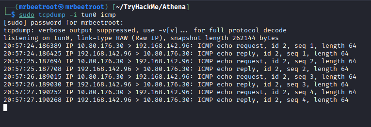 tcpdump capture