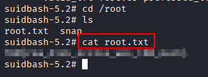 root flag