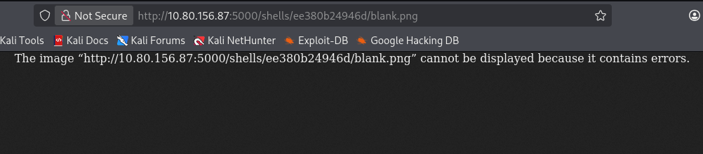 blank.png served from endpoint